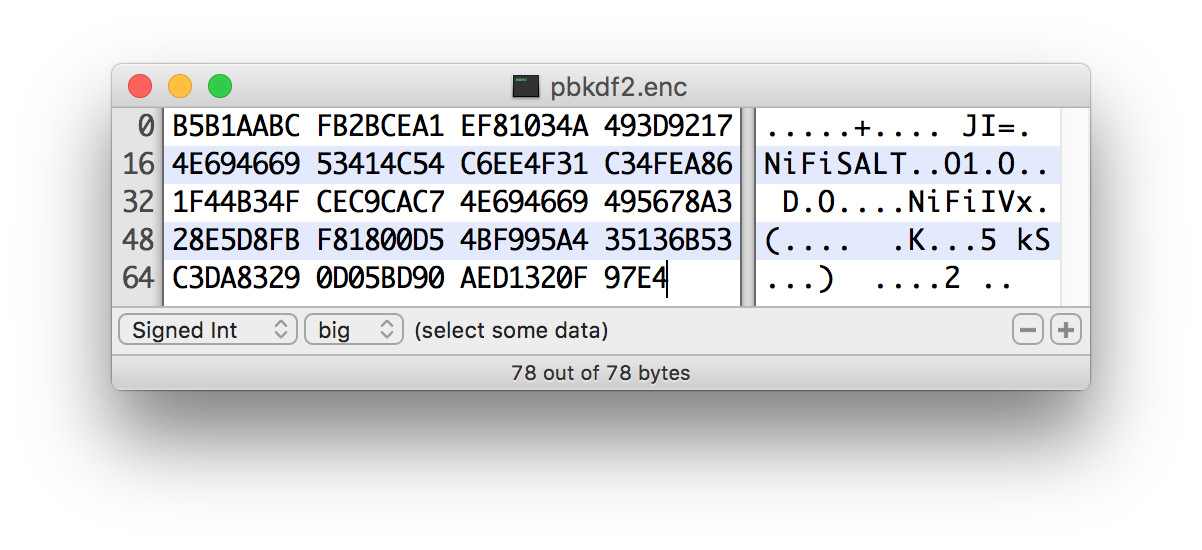 PBKDF2 Salt & IV Encoding